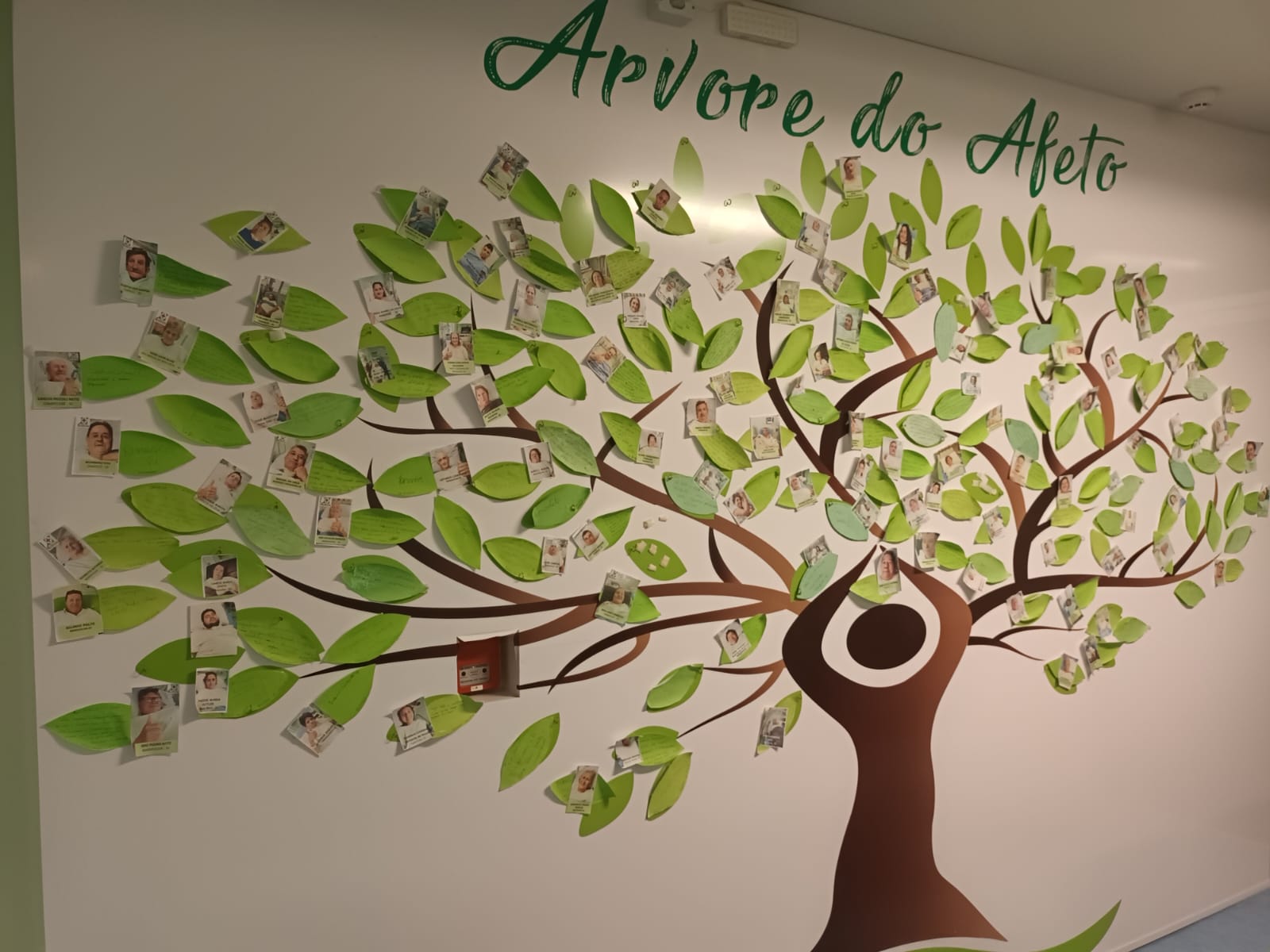 PROJETO Árvore do Afeto